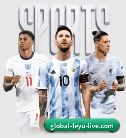 五大服务分区,信息按项目分类 - leyu