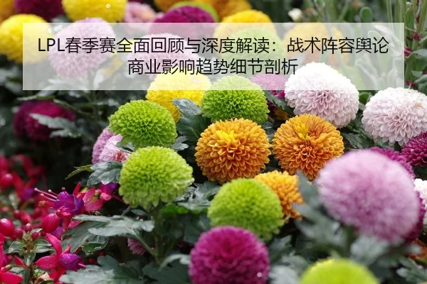 chun-ji-sai-quan-mian-hui-gu-yu-shen-du-jie-du-zhan-shu-zhen-rong-yu-lun-shang-ye-ying-xiang-qu-shi-xi-jie-pou-xi-1-674.jpg